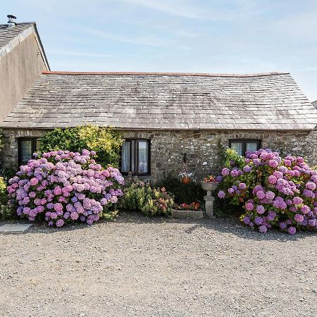 Coach House Cottage Bude Esterno foto